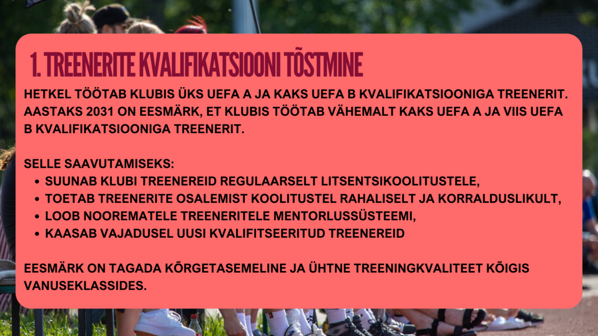 Noortetöö arendamise järgmised sammud nr1