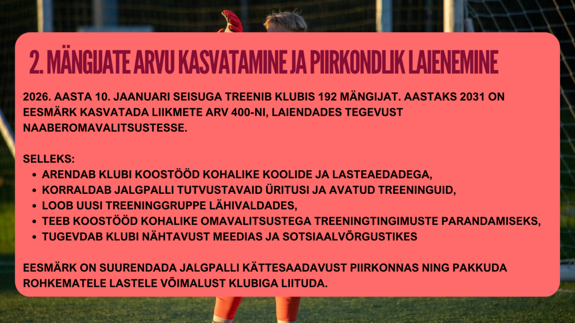 Noortetöö arendamise järgmised sammud nr2